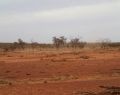 Face-to-face care for farming communities