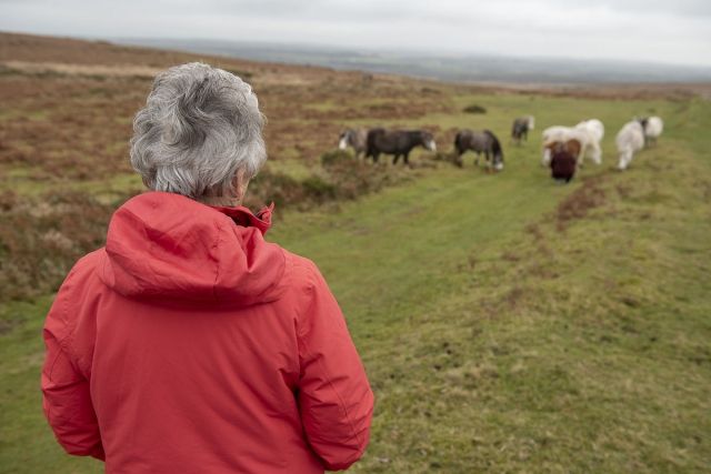 Heather standing near farm animals